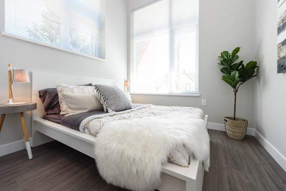 a bedroom with a bed and a plant and two windows