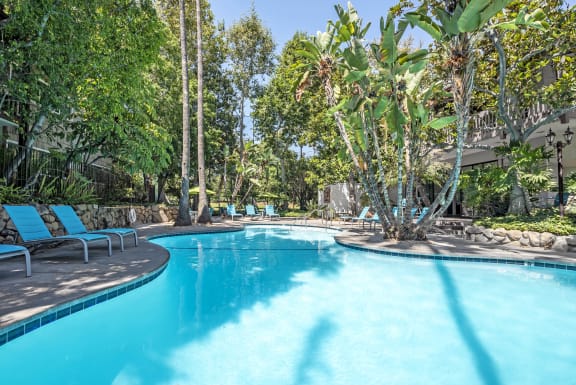 a swimming pool at a resort with trees and chairs