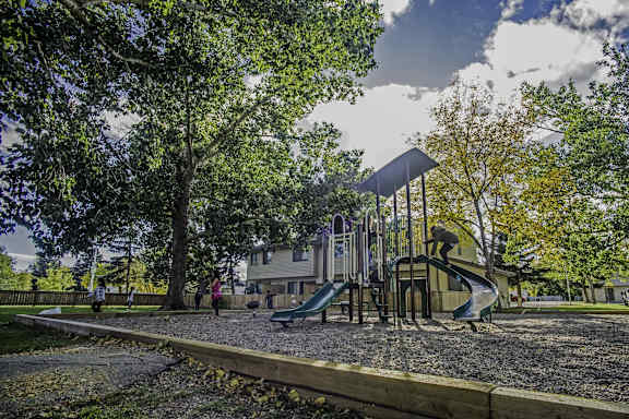 children playing on a playground in a park