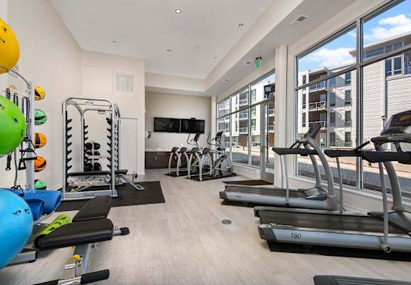 the gym is equipped with cardio equipment and window views