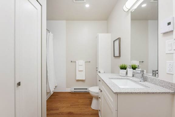 a bathroom with a sink and a toilet and a shower
