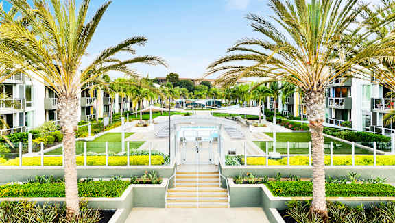 A pathway with steps leads to a building entrance, flanked by two palm trees.