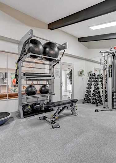 A gym with a variety of equipment including weights and a rowing machine.