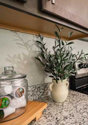 A kitchen with a pineapple plant on the counter.