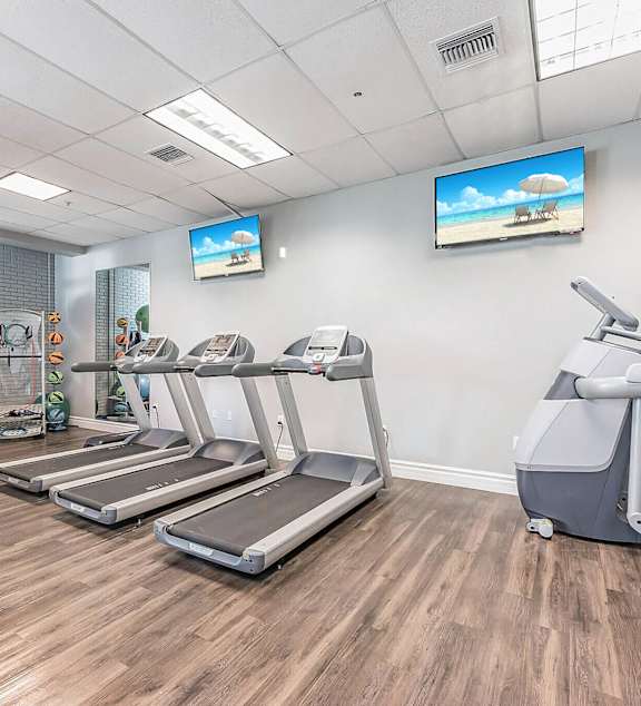 A gym with treadmills and exercise equipment.