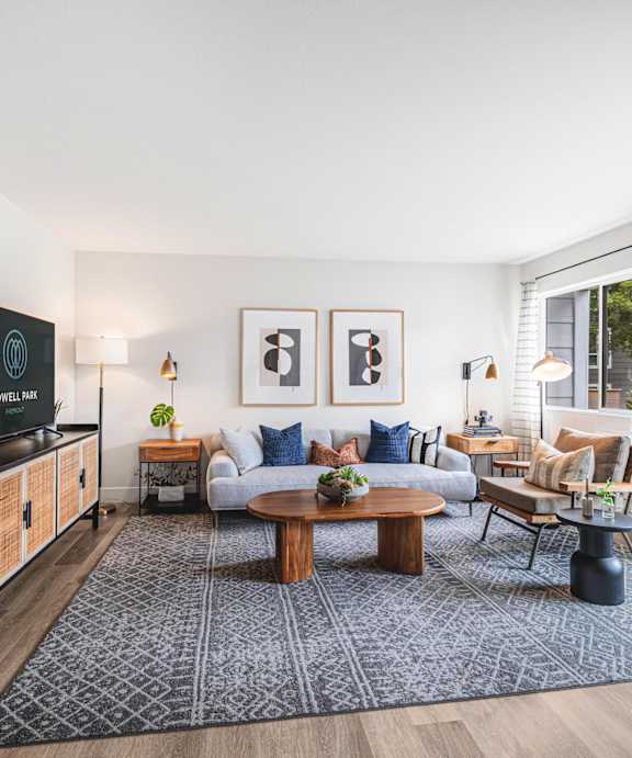 A living room with a television, couches, and a rug.