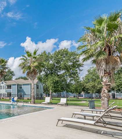 A swimming pool surrounded by palm trees and lounge chairs.