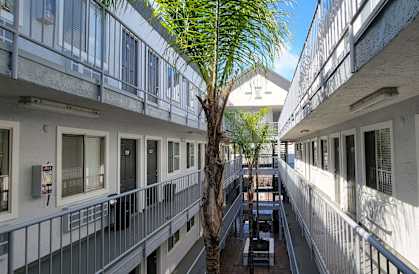 a courtyard between two buildings with a palm tree