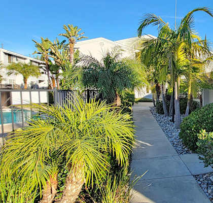 A sunny day in a residential area with a clear blue sky.