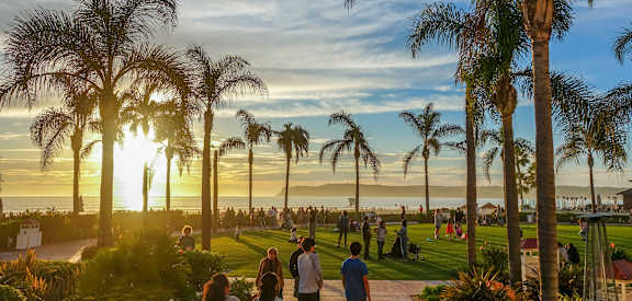 people walking through a park with palm trees and the ocean in the background