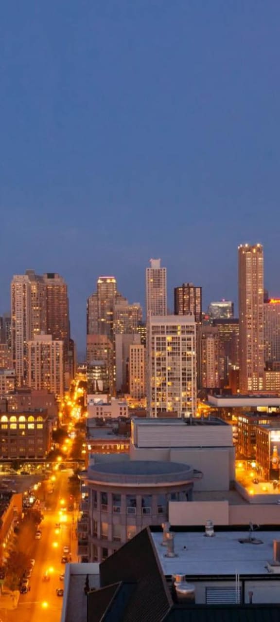 a view of the chicago skyline at night