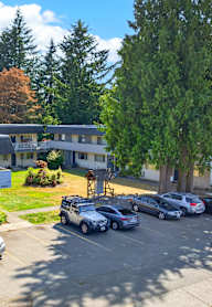 A parking lot with cars and a building with a sign that says "Cedars".