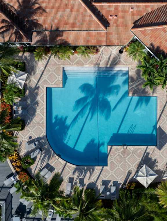 a swimming pool in the middle of a house with palm trees