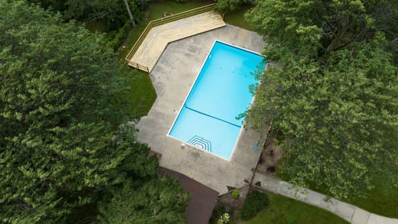 arial view of a swimming pool in a backyard with trees