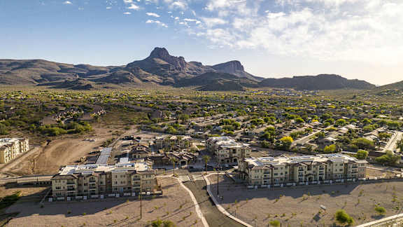 Walking_Dog at The Safford, Marana