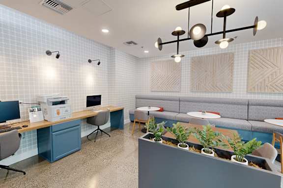 A modern office space with a long desk, chairs, and a green plant.