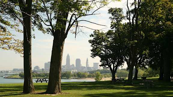 A park with trees and benches overlooking a city skyline.