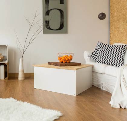 A living room with a white couch and a white rug.