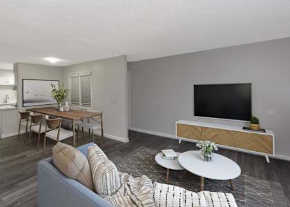a living room with a couch and a table and a television