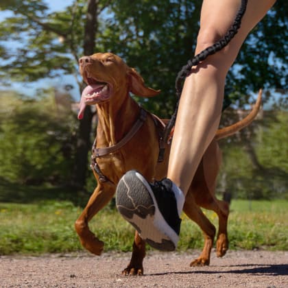a woman running with her dog on a path