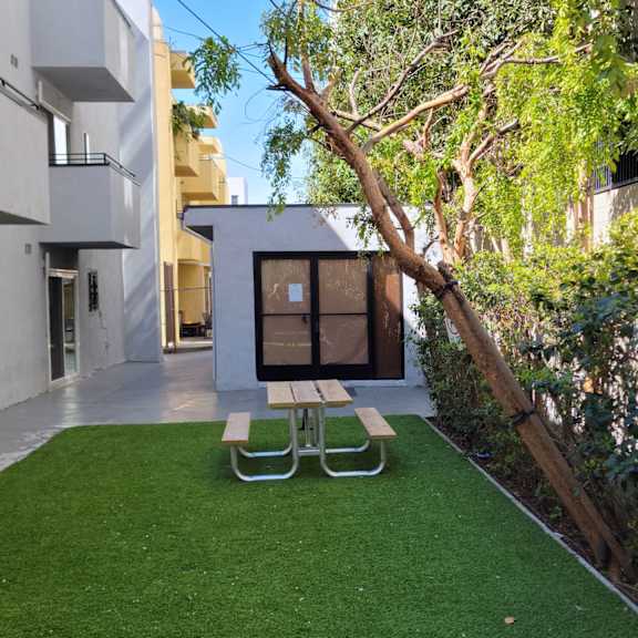 A small garden with a bench and a tree.
