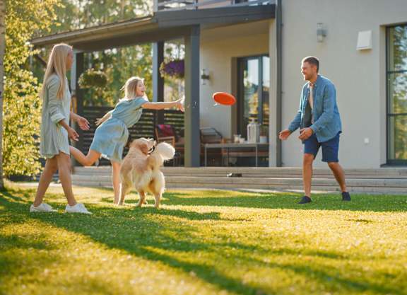 a family playing frisbee with their dog in their yard