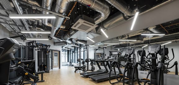 the gym is equipped with cardio equipment and weights