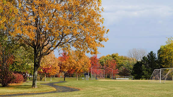 Botanic Garden at TLC Grand Apartments, Deerfield, IL 60015