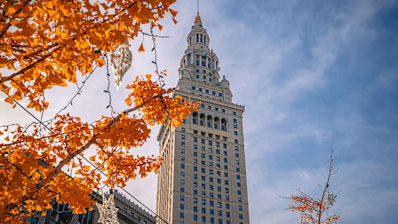 A tall building with a spire is framed by orange autumn leaves.