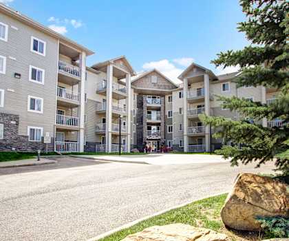 The outside front entrance to the gray Somerset Pointe Apartment Homes building with a tree in front. 