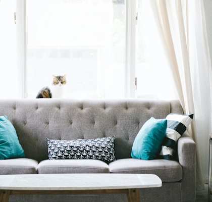 a living room with a couch and a cat in the window