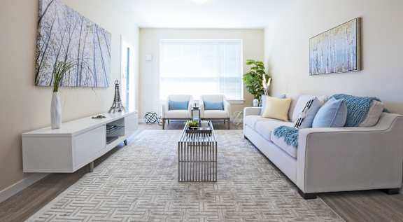 A living room with a white couch and a grey rug.