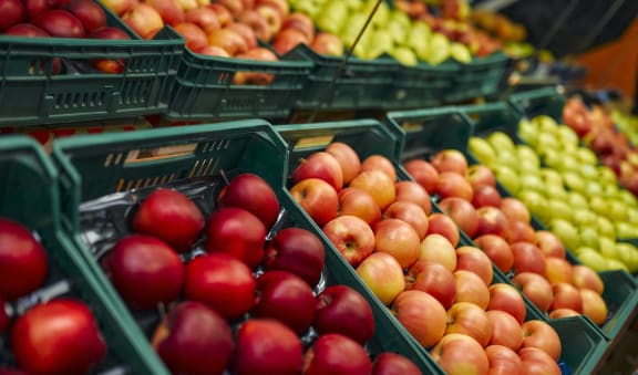 a display of tomatoes and other fruits in plastic crates