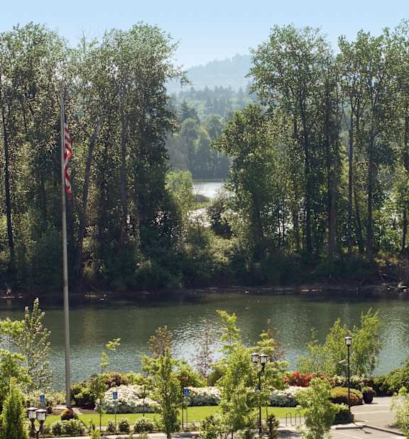 A serene landscape with a lake, trees, and a flagpole.