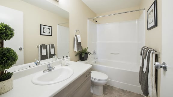 a bathroom with a sink and a toilet and a shower