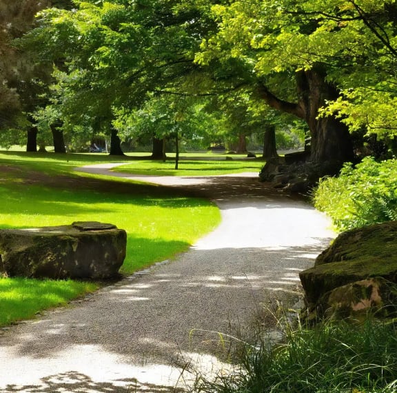 Outdoor Trails Nearby