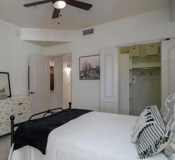 Large Bedroom with Walk In Closet