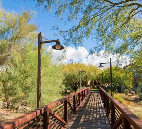 Desert Parks Vista Nearby Walking Trails