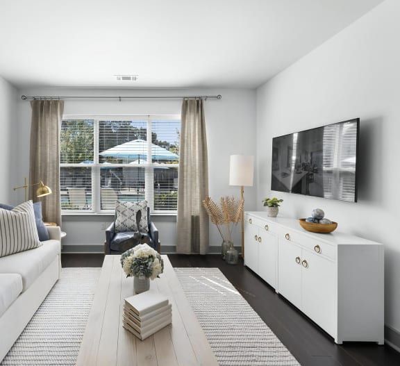 Living Room with Ample Natural Light