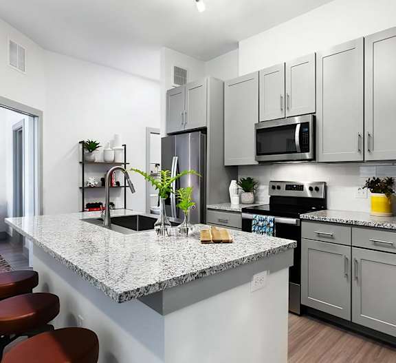 High End Finishes Throughout the Unit