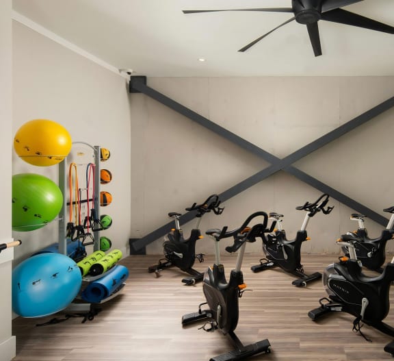 Fitness Studio with Cardio Equipment