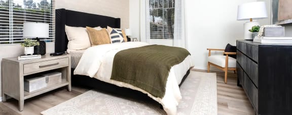 Oversized Bedroom with Multiple Windows