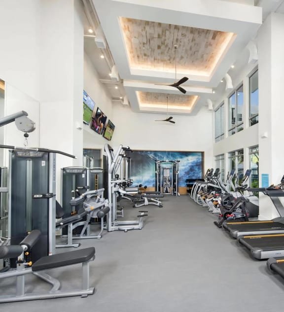 Fitness Studio with Cardio Machines