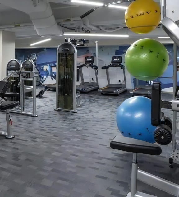 Studio with Cardio and Strength Training Machines
