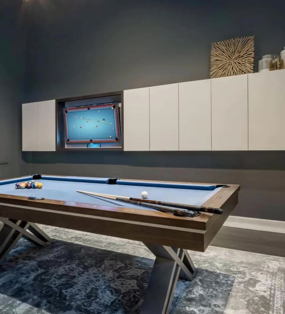 Private Pool Table