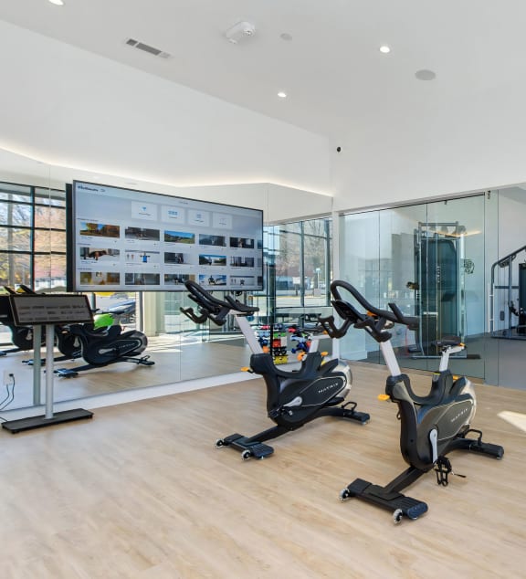 Fitness Studio with Cardio and Weight Machines