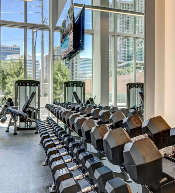 Full Fitness Studio with Free Weights