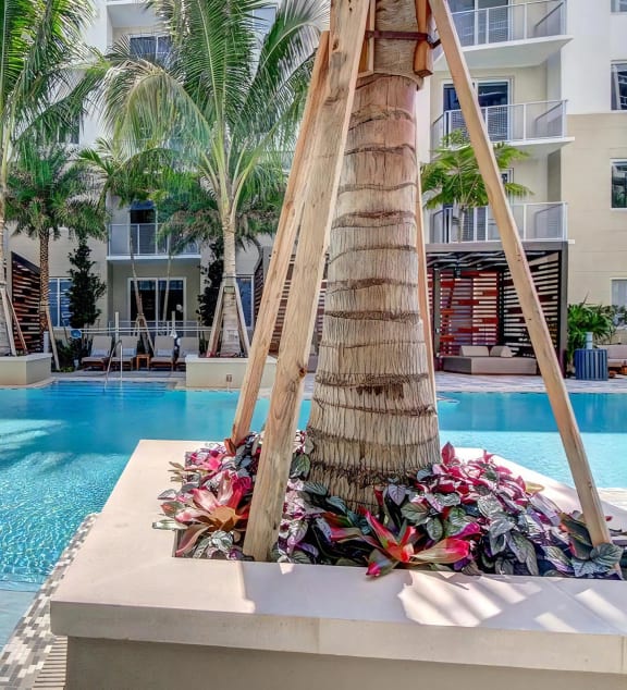 Outdoor Patio with Pool and Landscaping