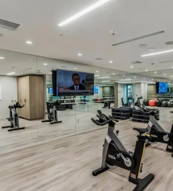 State of the Art Fitness Studio