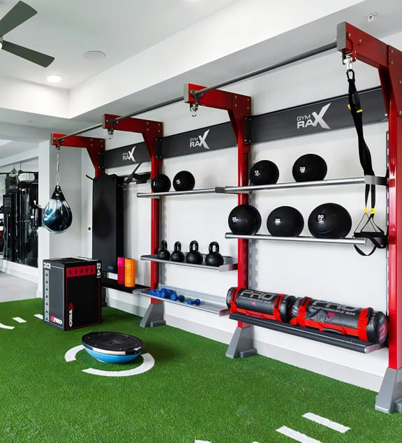 a home gym with fake grass on the floor